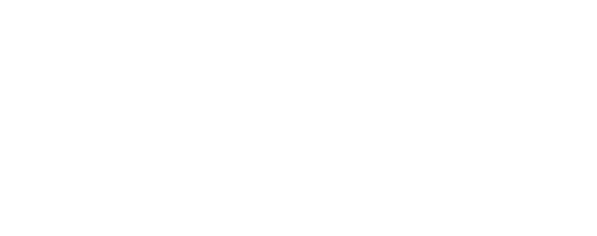 Top Tier IT Solutions